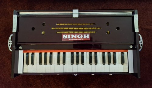 Harmonium performance - harmonium,